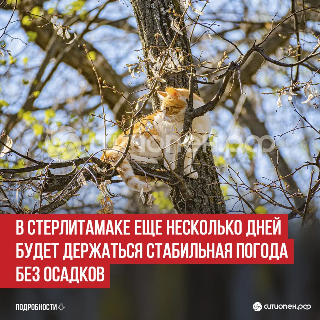 В Стерлитамаке еще несколько дней будет держаться стабильная погода без осадков