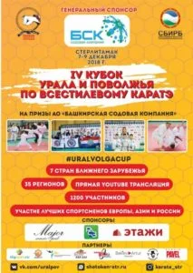 Интервью с организатором международного турнира «IV Кубка Урала и Поволжья по всестилевому каратэ»