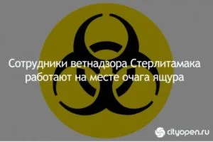 Сотрудники ветнадзора Стерлитамака работают на месте очага ящура